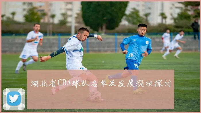 湖北省CBA球队名单及发展现状探讨