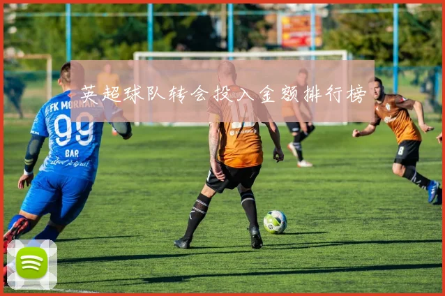 英超球队转会投入金额排行榜