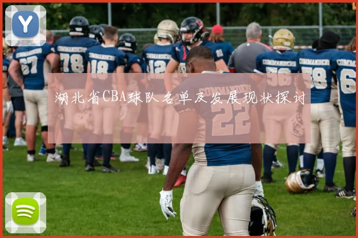 湖北省CBA球队名单及发展现状探讨